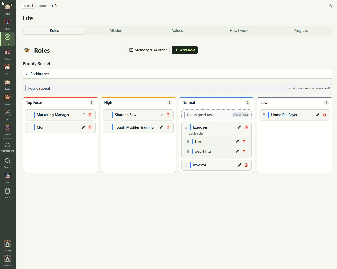 Roles, vision, and priorities arranged around a mission in Enactra